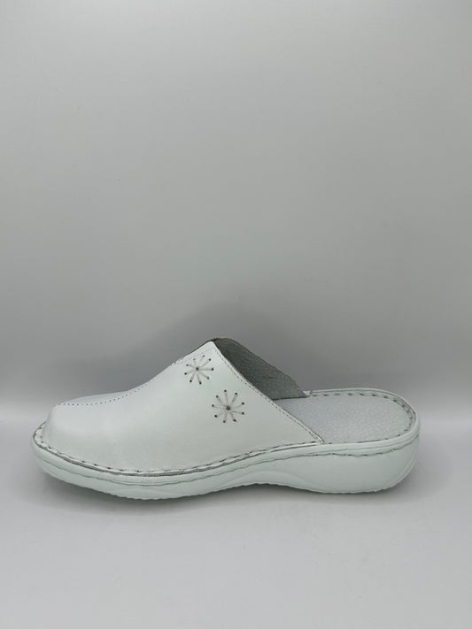 Saboti Medicinali Dr. MAX