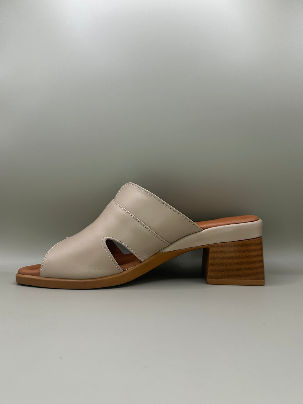 Saboti casual Nicolis 1817