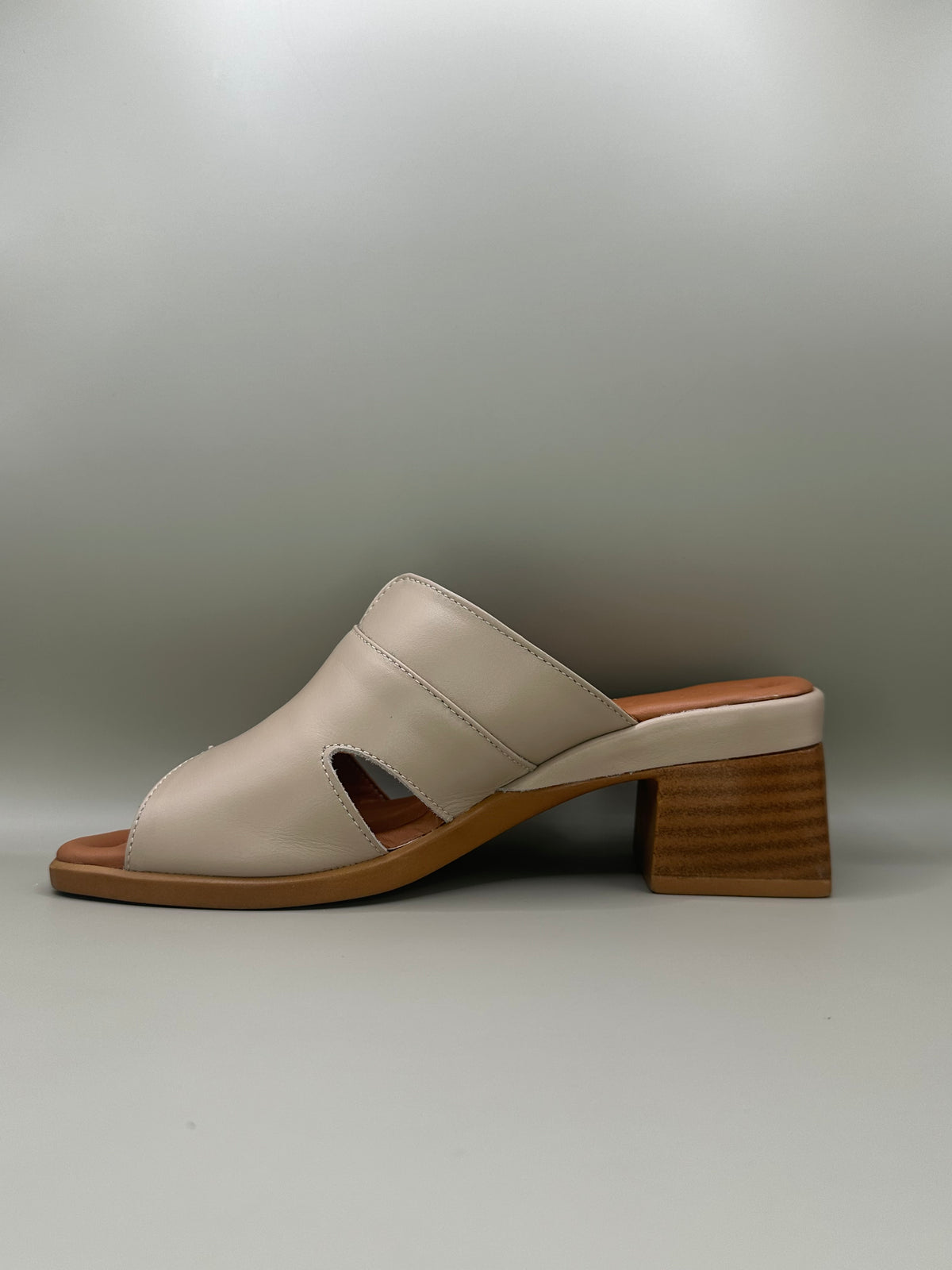 Saboti casual Nicolis 1817